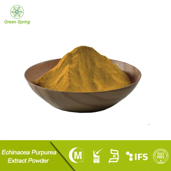 Echinacea Purpurea Extract Powder