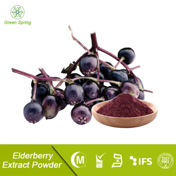 Elderberry Extract Powder