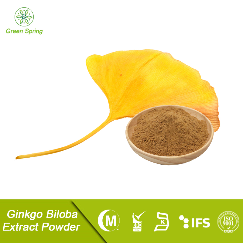 Ginkgo biloba extract powder,Ginkgo biloba extract supplier