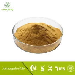 Astragalus Extract Powder Astragaloside