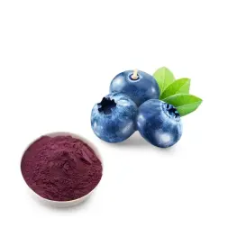 Blueberry Extract Powder/Blueberry Proanthocyanidins