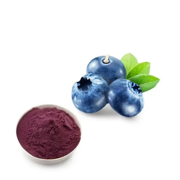 Blueberry Extract Powder/Blueberry Proanthocyanidins