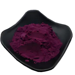 Blueberry Extract Powder/Blueberry Proanthocyanidins