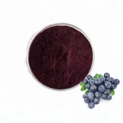 Blueberry Extract Powder/Blueberry Proanthocyanidins