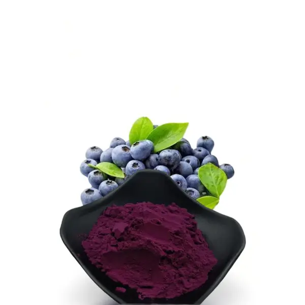 Blueberry Extract Powder/Blueberry Proanthocyanidins