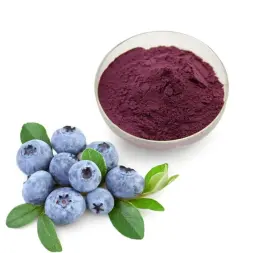 Blueberry Extract Powder/Blueberry Proanthocyanidins