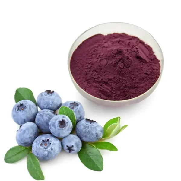 Blueberry Extract Powder/Blueberry Proanthocyanidins