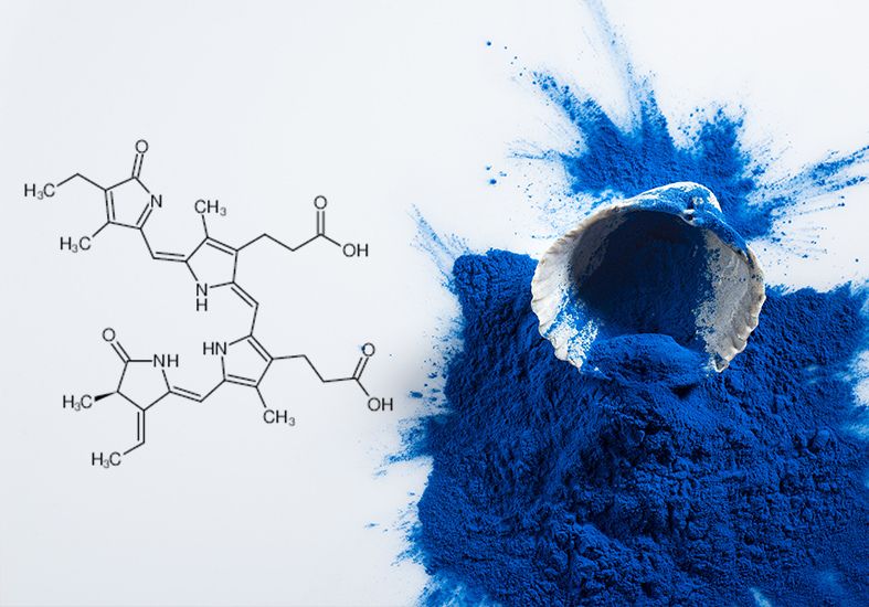 The Blue Storm is Coming: The Rise and Charm of Natural Blue Pigments