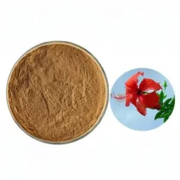 Hibiscus Rosa-sinensis Extract Powder