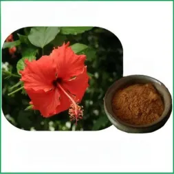 Hibiscus Rosa-sinensis Extract Powder