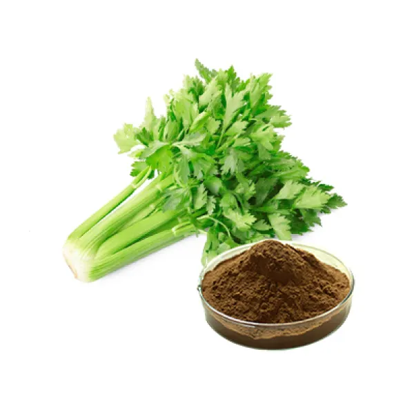 Celery Extract Powder