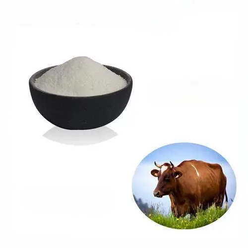 Bovine Collagen Peptide Powder