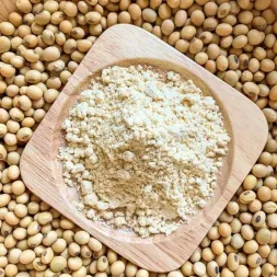 Soy Protein Isolate Powder