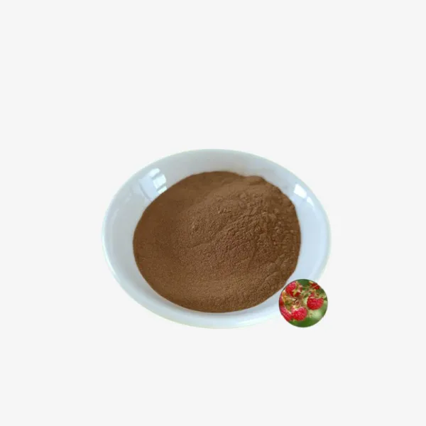 Raspberry Extract Powder