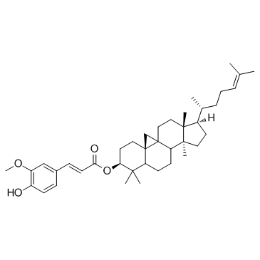 Gamma Oryzanol Powder - Rice Bran Extract