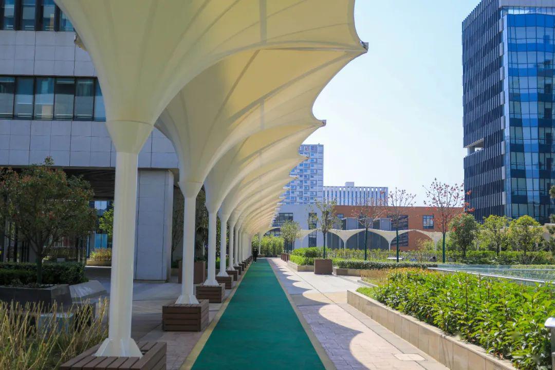 Xi'an Green Spring Technology Co., Ltd. Moves to a New Office