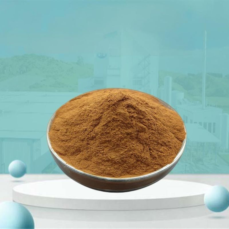 Nutmeg Extract Powder Manufacturer