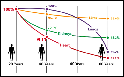 Coenzyme Q10 VS Reduced Coenzyme QH