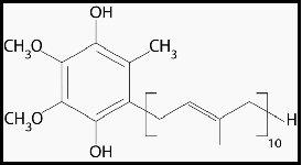 Coenzyme Q10 VS Reduced Coenzyme QH