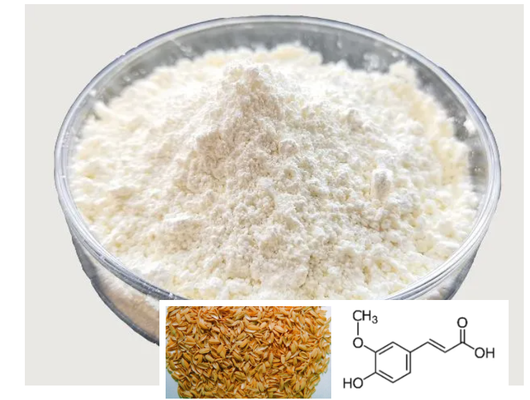 Ferulic Acid: A Multifunctional Star Ingredient in Cosmetics