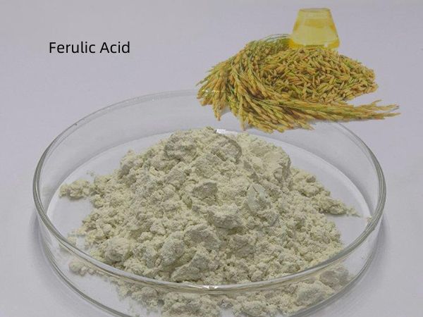 Ferulic Acid: A Natural Antioxidant Pioneer and New Force in the Food Industry