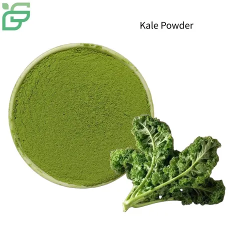 Kale Powder Manufacturer / Supplier