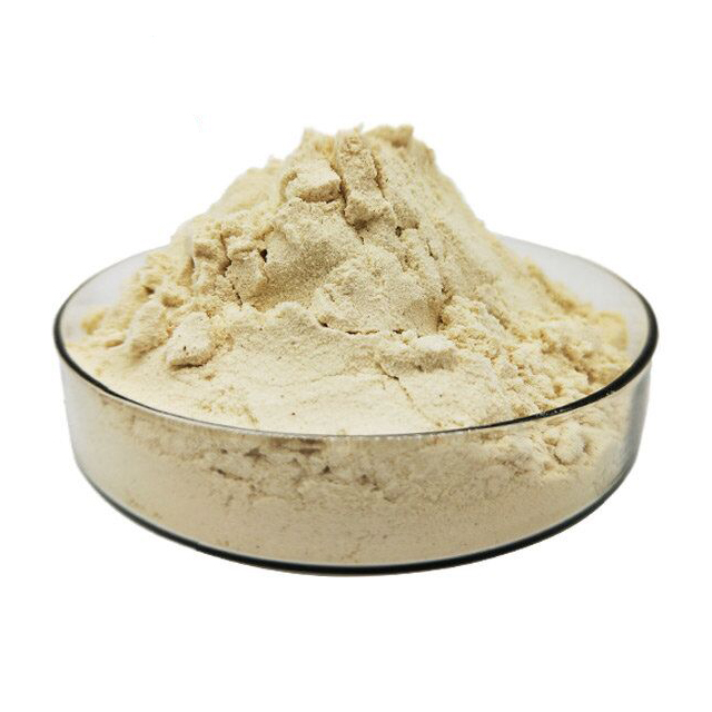 Beta Glucan Powder