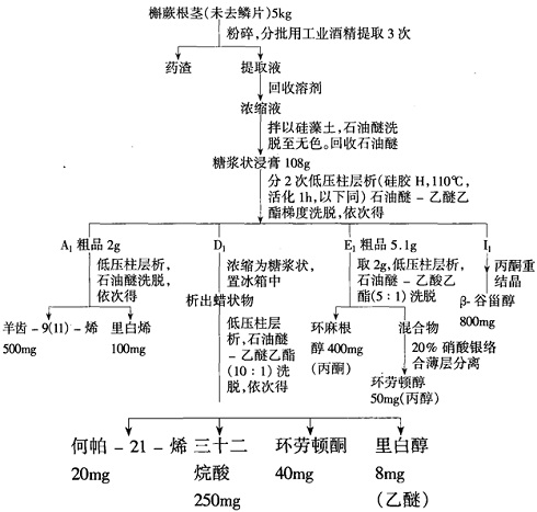 Rhizoma Drynarinae Extract Powder