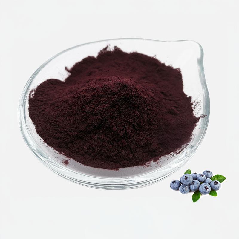 Blueberry Extract Powder/Blueberry Proanthocyanidins