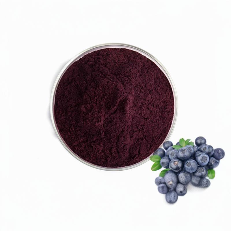 Blueberry Extract Powder/Blueberry Proanthocyanidins