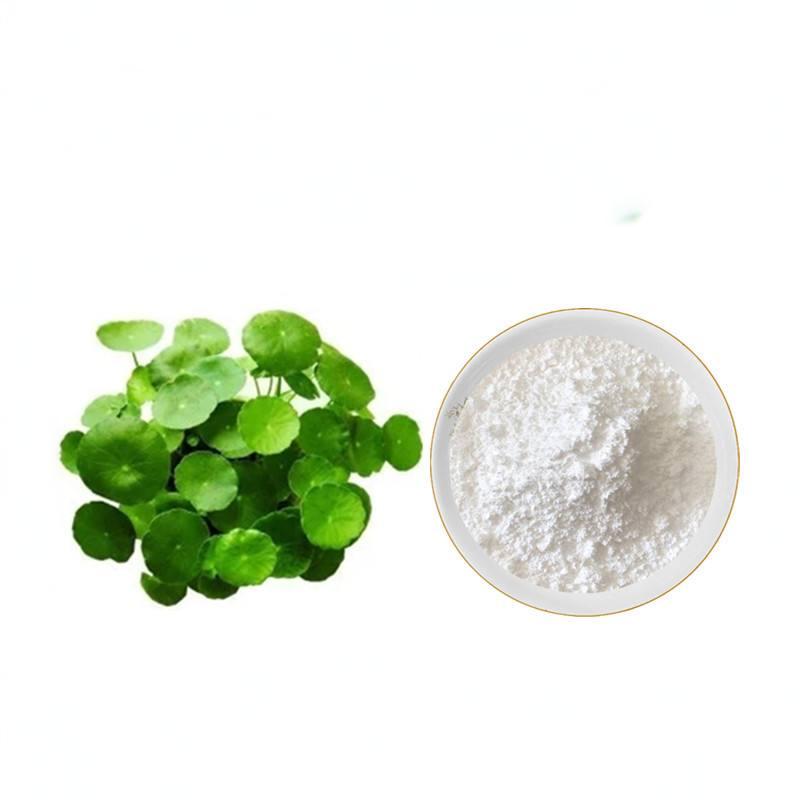 Gotu Kola Extract Powder/Centella Asiatica Extract