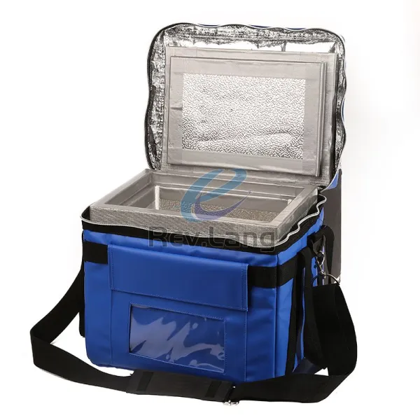 Étui de transport pour stylo à insuline Sac isotherme médical portable  petite glacière