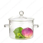 Glass Saucepan with Glass Cover