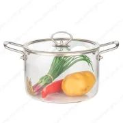 Glass Cooking Pot with Stainless Steel Handle