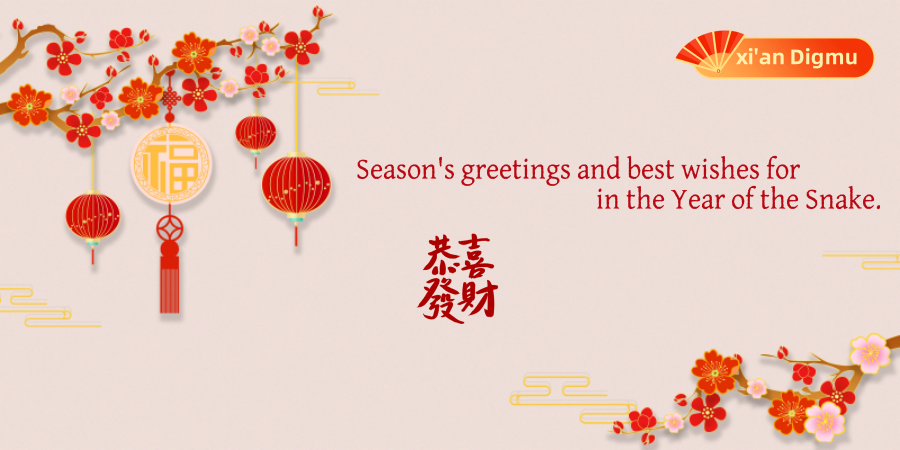 Happy Chinese New Year 2025