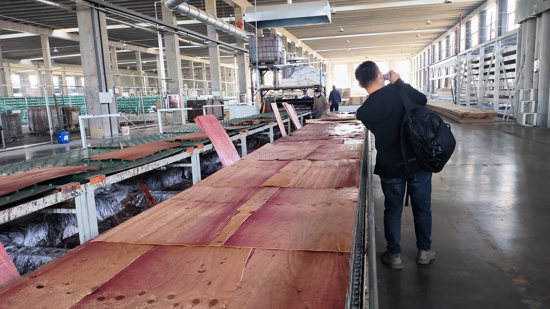 E14 H2 标准落叶松木材LVL