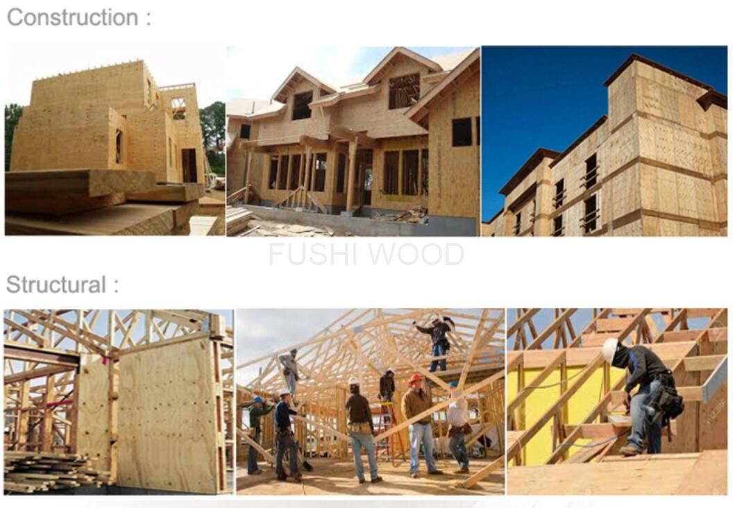 Waterproof Pine CDX Plywood