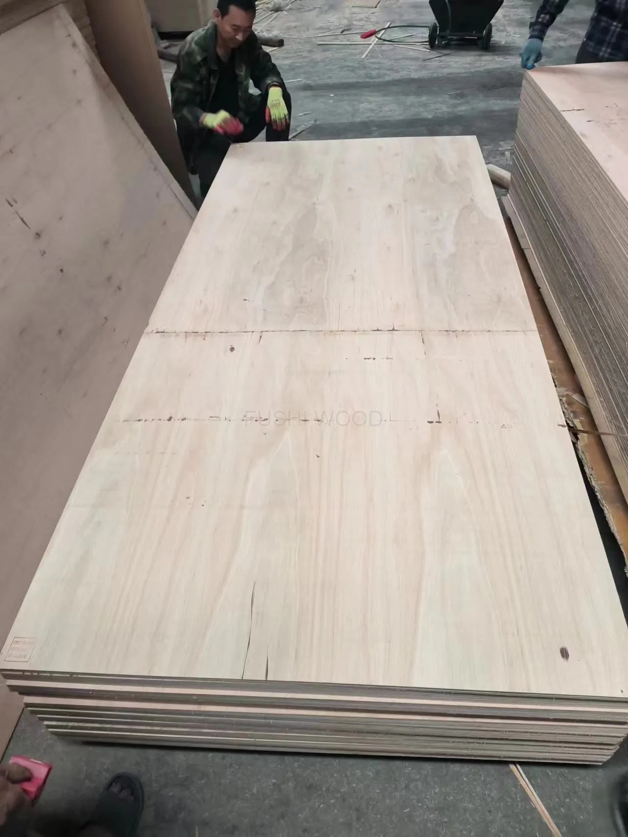 CDX 3-Ply Plywood