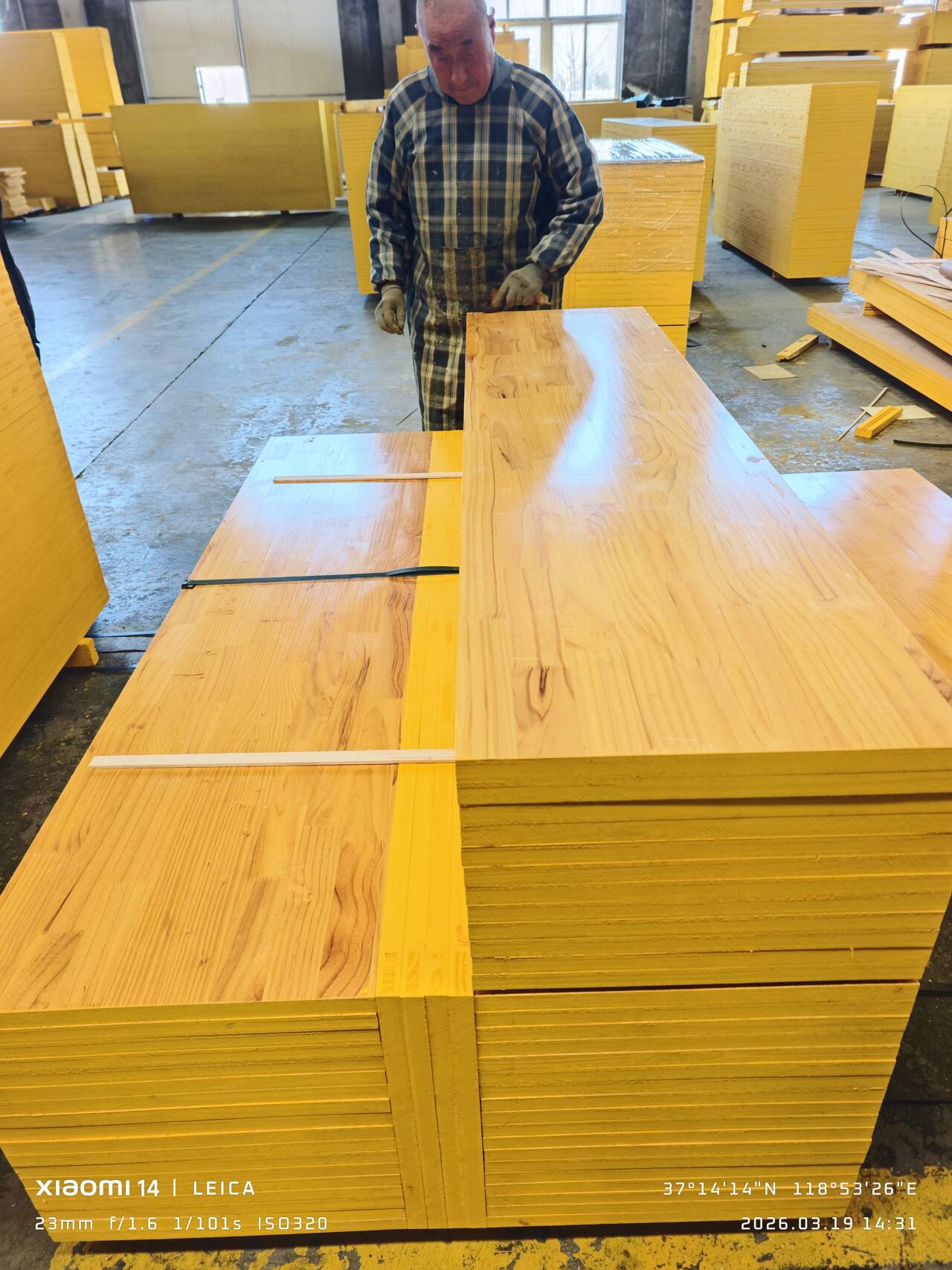 European Standard 3ply Panel Formwork
