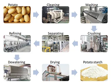 ¿Qué filtro se utiliza para el almidón de patata?