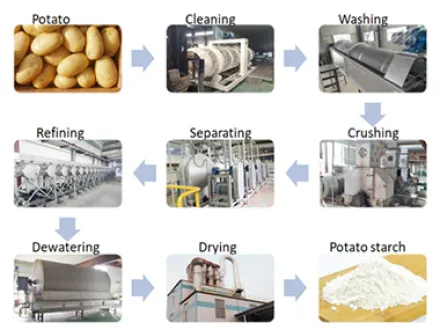 What Filter Is Used for Potato Starch?
